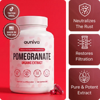 Auniva Pomegranate