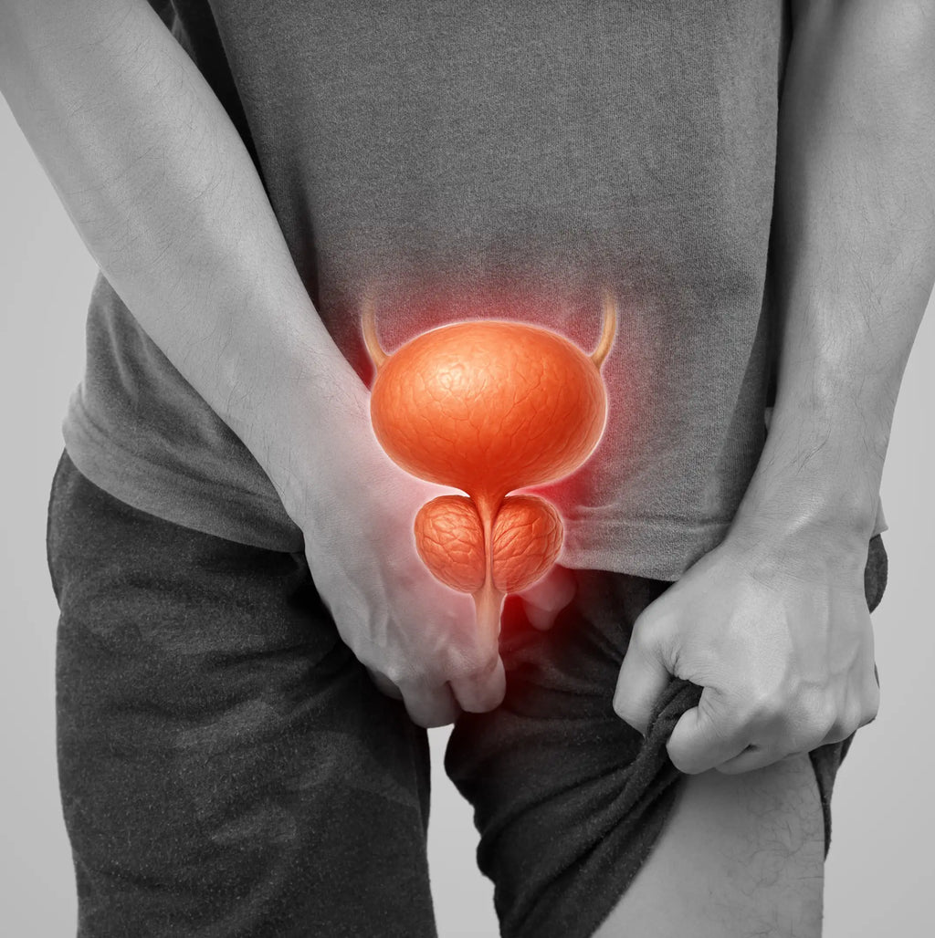 Protaflo: A New Paradigm For Prostate Health