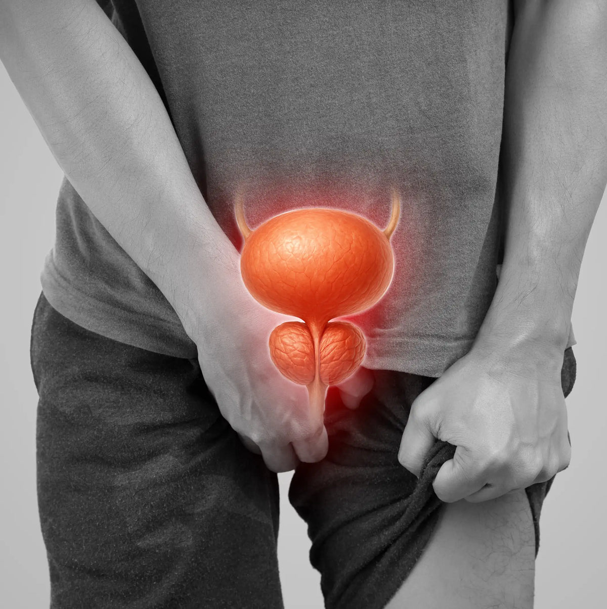 Protaflo: A New Paradigm For Prostate Health