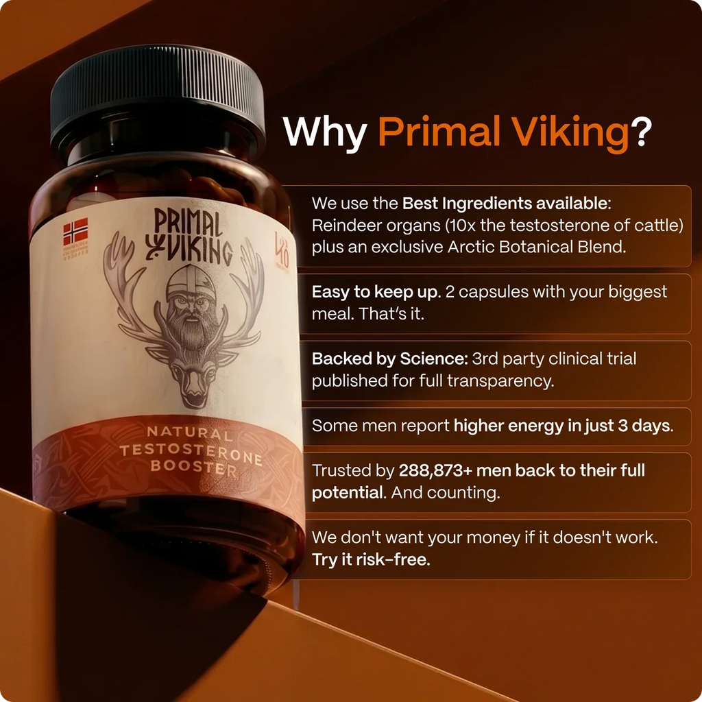 PRIMAL VIKING