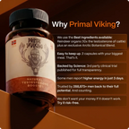 PRIMAL VIKING