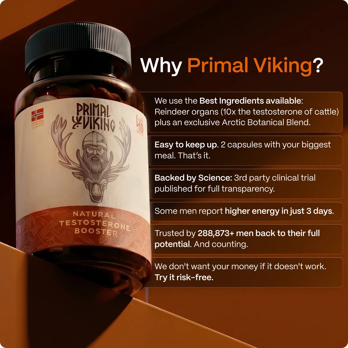 PRIMAL VIKING